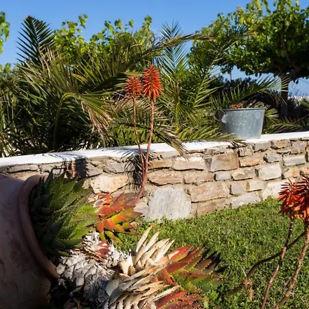 بيت ضيافة Evi