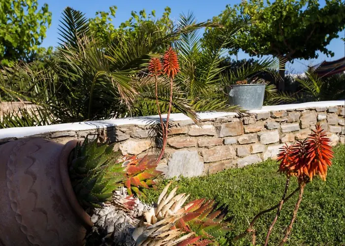 Гостевой дом Evi